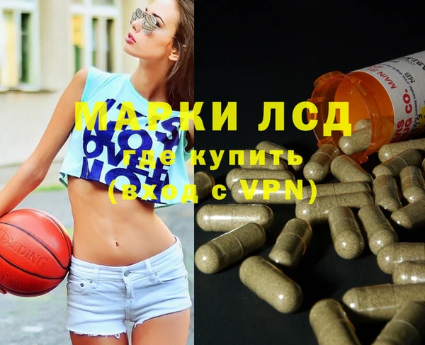 сатива Балахна
