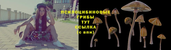 скорость Белокуриха